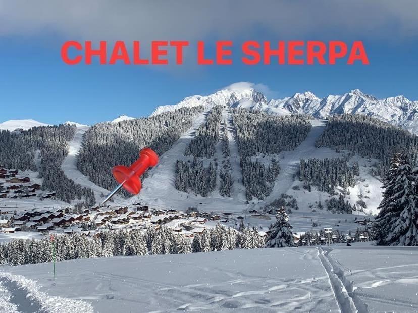 Appartement Cosy Aux Saisies N1 ليه سيزيه المظهر الخارجي الصورة